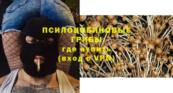 амф Абаза
