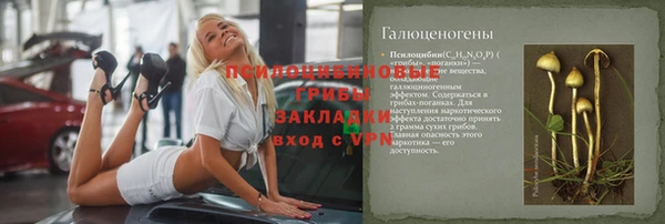стафф Абинск