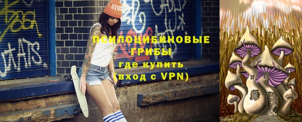 амф Абаза